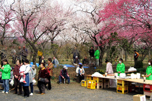 イベント風景イメージ画像